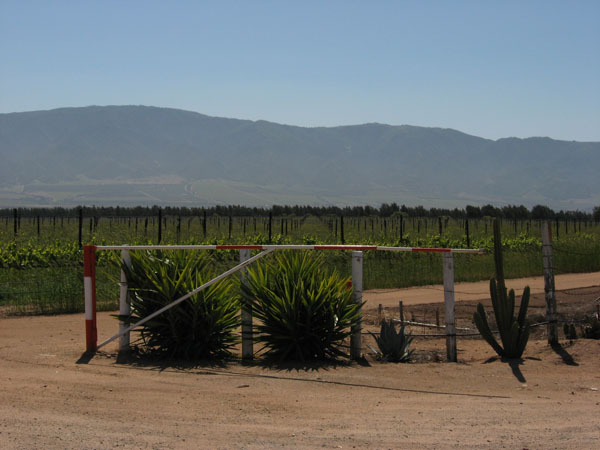 20070416_027